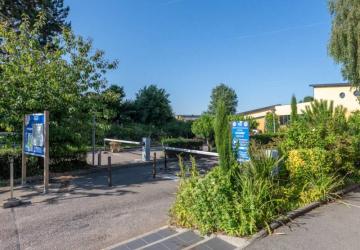 Flower Camping Vitamin