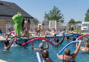 Flower Camping Vitamin