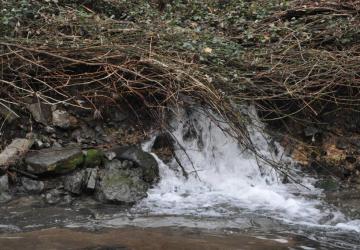 Camping Le Moulin d'Onclaire
