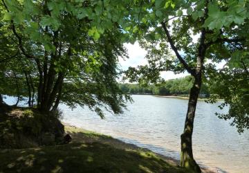 Camping de L'Etang du Merle