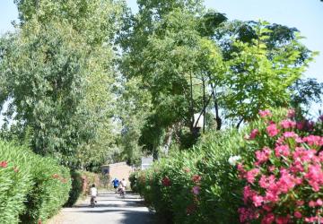 Camping & Spa CAP SOLEIL