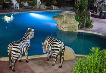 Camping & Spa CAP SOLEIL