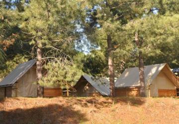 Camping OLVA LES EUCALYPTUS