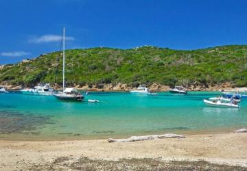 Camping OLVA LES EUCALYPTUS