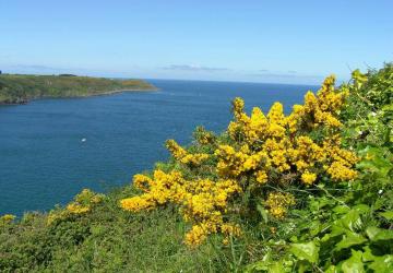 Camping Le Varquez-sur-Mer