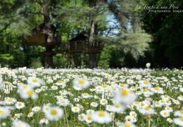 Le Parc de la Belle