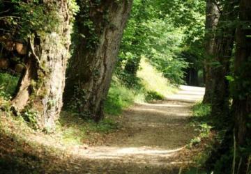Le Parc de la Belle