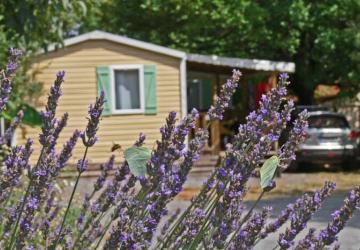 Camping Les Cigales