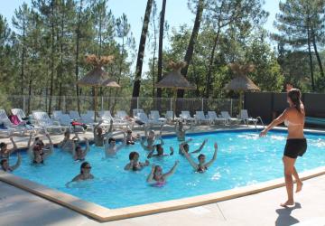 Camping Paradis - Bois Simonet