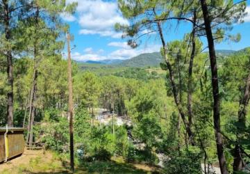 Camping Paradis - Bois Simonet