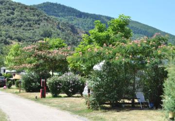 Camping Les Cerisiers du Jaur