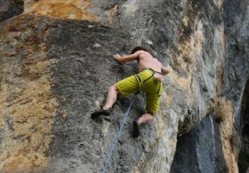 Camping les Actinidias