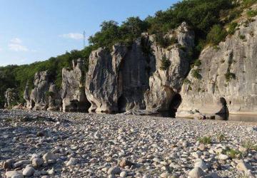 Camping les Actinidias