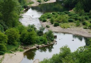 Camping les Actinidias