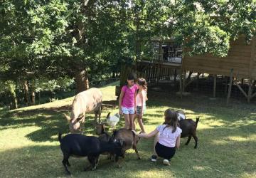 Camping L'Offrerie