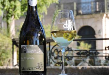 Camping Marvilla Parks - Domaine de Massereau