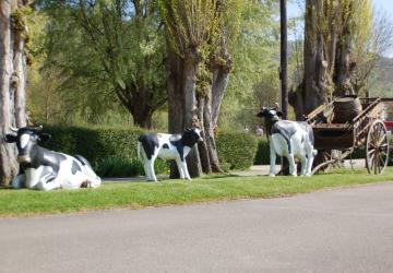 Flower Camping l'Ile des Trois Rois