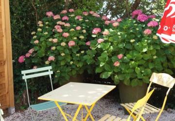 Camping L'Olivier