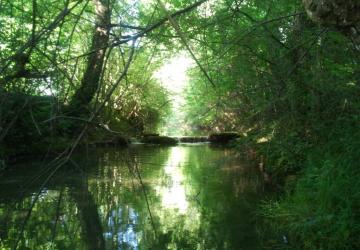 Camping Les Rives du Céou