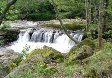 Camping de Retourtour