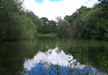 Camping de Bergougne