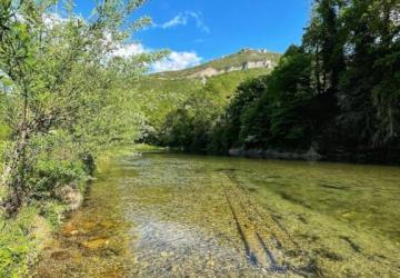 Flower Camping Saint Lambert