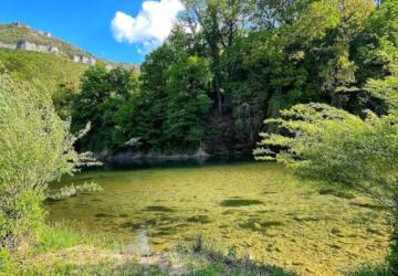 Flower Camping Saint Lambert