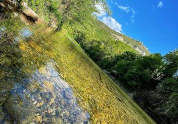 Flower Camping Saint Lambert