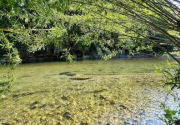 Flower Camping Saint Lambert