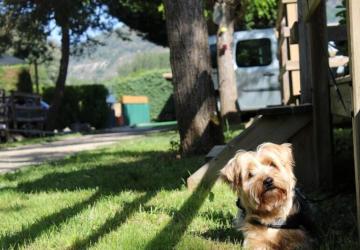 Camping Le Taranis (anciennement La Resclauze)