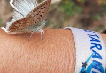 Camping Le Taranis (anciennement La Resclauze)