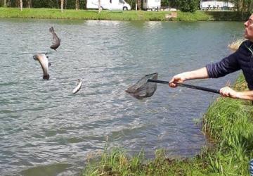 Flower Camping Des 2 Rivières