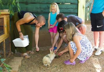 Camping les Monts d'Albi