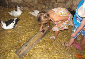 Camping Ferme Pédagogique de Prunay