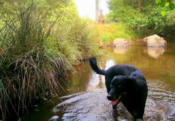 CAMPING LES 3 SOURCES MAEVA ESCAPADES