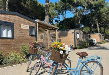 Camping Le Village du Suroît