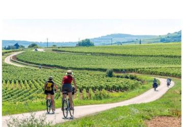 Camping Onlycamp Les Premières Vignes