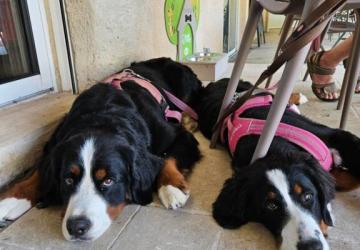 Camping Au Tylo Soleil 