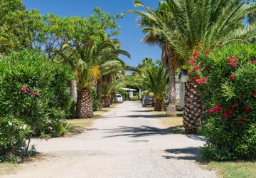 Camping l’Oasis & California