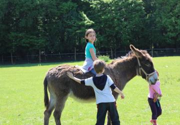Camping Ferme Pédagogique de Prunay