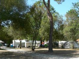 Forfait Confort (1 tente, caravane ou camping-car / 1 voiture / électricité 20A)