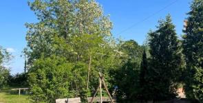  Camping Onlycamp Vauban