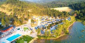 Flower Camping InNature