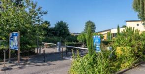 Flower Camping Vitamin