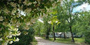 CAMPING LA DIGUE