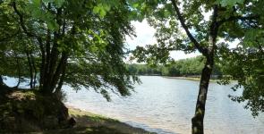 Camping de L'Etang du Merle