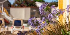 Chadotel Le Roussillon