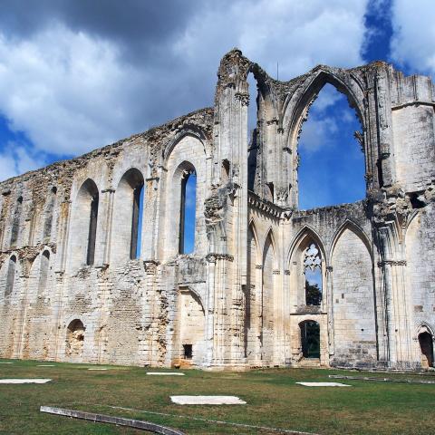 Abbaye de Maillezais vue aérienne 1